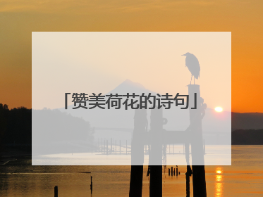 赞美荷花的诗句