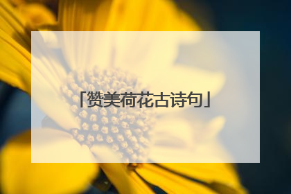 赞美荷花古诗句