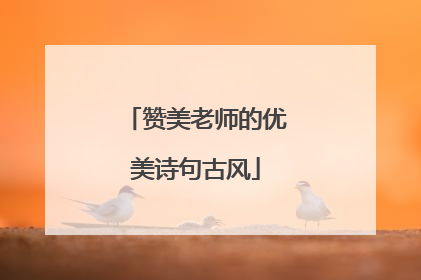 赞美老师的优美诗句古风