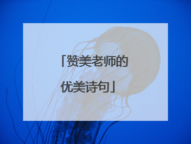 赞美老师的优美诗句