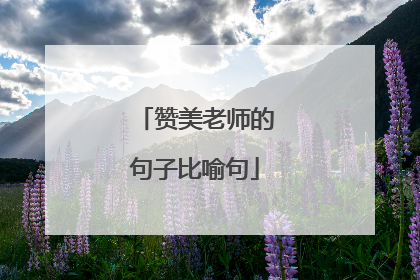 赞美老师的句子比喻句