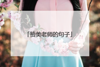 赞美老师的句子