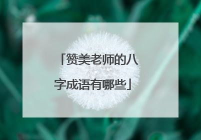 赞美老师的八字成语有哪些