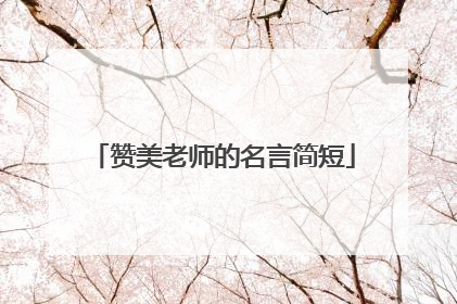 赞美老师的名言简短