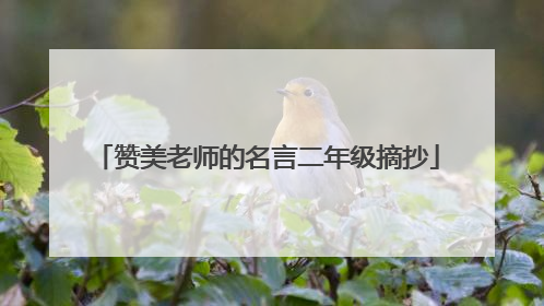 赞美老师的名言二年级摘抄