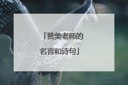 赞美老师的名言和诗句