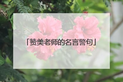 赞美老师的名言警句