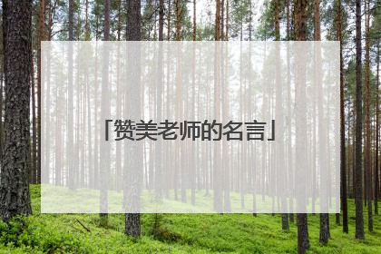 赞美老师的名言