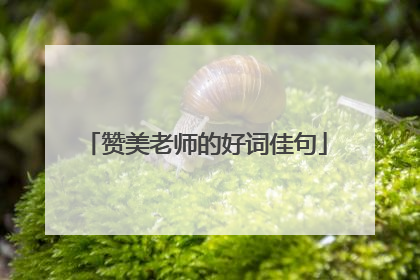 赞美老师的好词佳句
