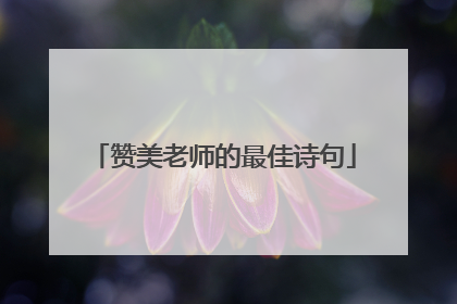 赞美老师的最佳诗句