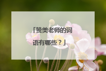 赞美老师的词语有哪些?