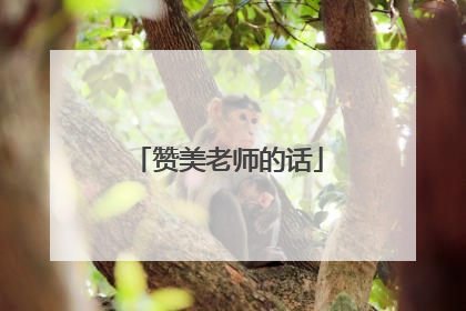 赞美老师的话