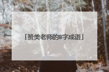 赞美老师的8字成语