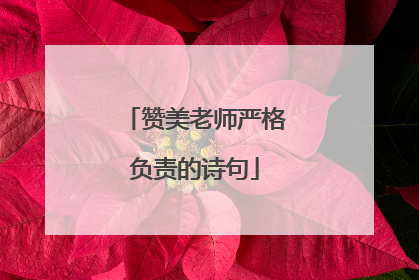 赞美老师严格负责的诗句