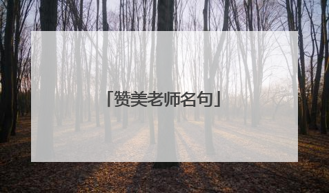 赞美老师名句