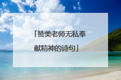赞美老师无私奉献精神的诗句