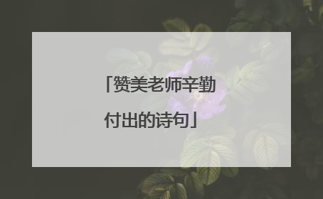 赞美老师辛勤付出的诗句