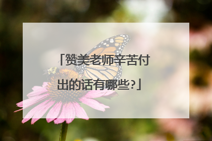 赞美老师辛苦付出的话有哪些?