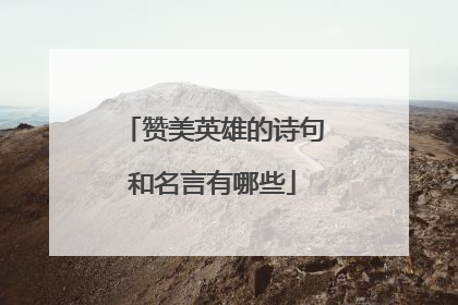 赞美英雄的诗句和名言有哪些