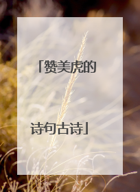 赞美虎的诗句古诗