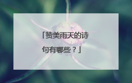 赞美雨天的诗句有哪些?