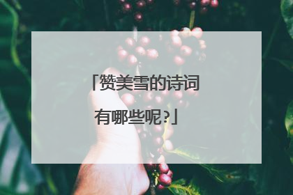 赞美雪的诗词有哪些呢?