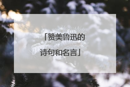 赞美鲁迅的诗句和名言