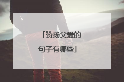赞扬父爱的句子有哪些