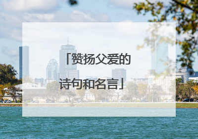 赞扬父爱的诗句和名言
