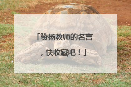 赞扬教师的名言,快收藏吧!