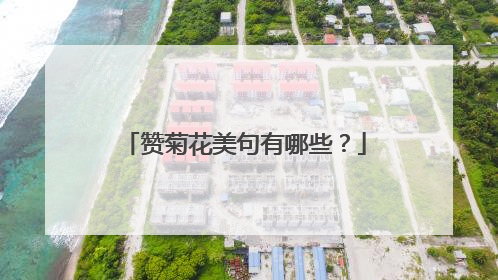 赞菊花美句有哪些?