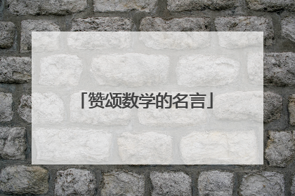 赞颂数学的名言