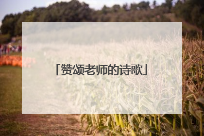 赞颂老师的诗歌