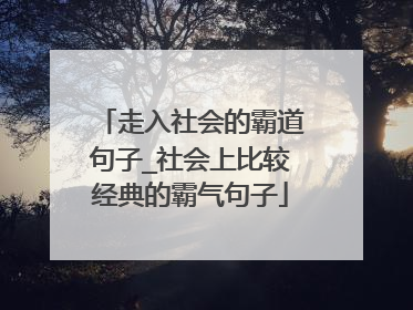 走入社会的霸道句子_社会上比较经典的霸气句子