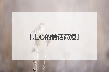 走心的情话简短