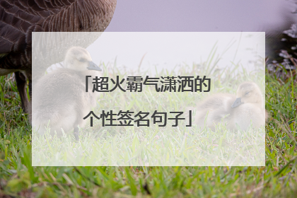 超火霸气潇洒的个性签名句子