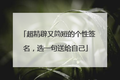 超精辟又简短的个性签名，选一句送给自己