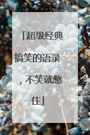 超级经典搞笑的语录,不笑就憋住
