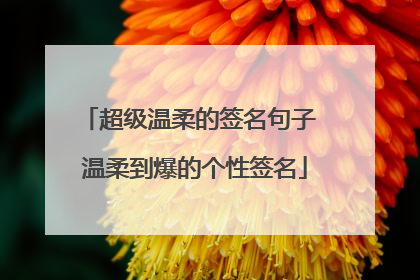 超级温柔的签名句子 温柔到爆的个性签名