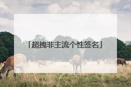超拽非主流个性签名