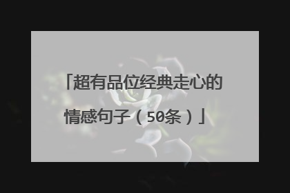 超有品位经典走心的情感句子(50条)