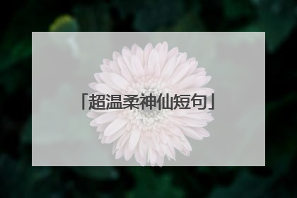 超温柔神仙短句