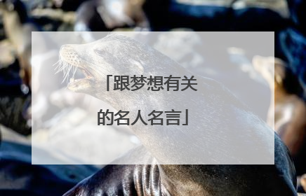 跟梦想有关的名人名言