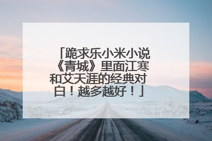 跪求乐小米小说《青城》里面江寒和艾天涯的经典对白!越多越好!