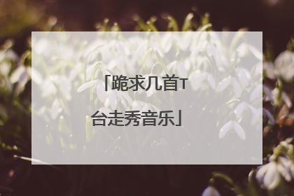 跪求几首T台走秀音乐