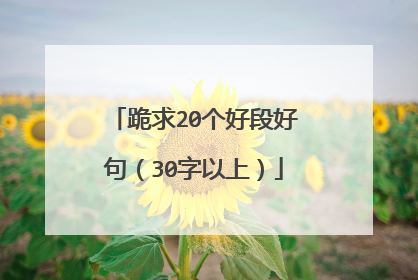 跪求20个好段好句(30字以上)
