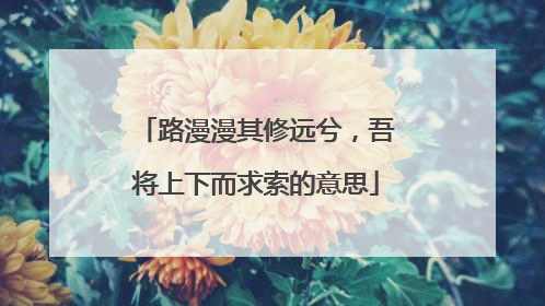 路漫漫其修远兮,吾将上下而求索的意思