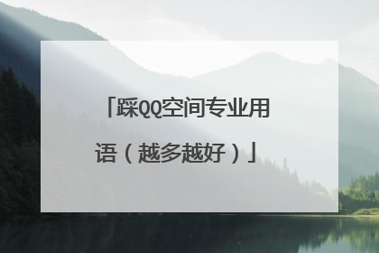 踩QQ空间专业用语（越多越好）