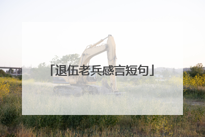 退伍老兵感言短句