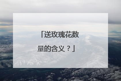 送玫瑰花数量的含义?